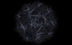 2014 12 15 Shadow Play 041-black.jpg